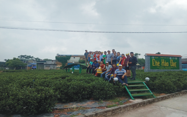 Đến Thái Nguyên ghé thăm vùng chè Tân Cương