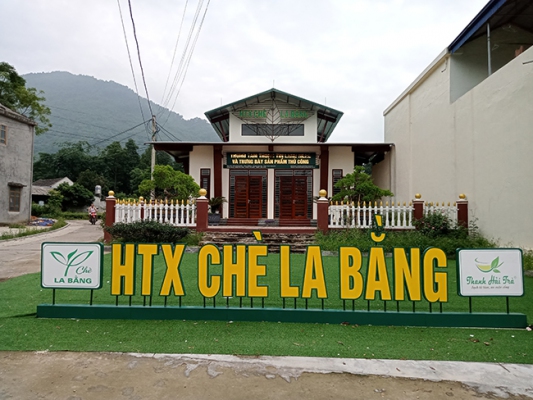 Hợp tác xã chè La Bằng- Điểm lan tỏa văn hóa trà Đại Từ
