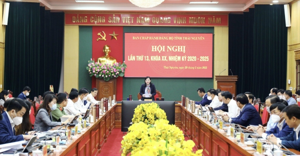 Hội nghị Ban Chấp hành Đảng bộ tỉnh lần thứ 13: Cho ý kiến vào nhiều nội dung quan trọng