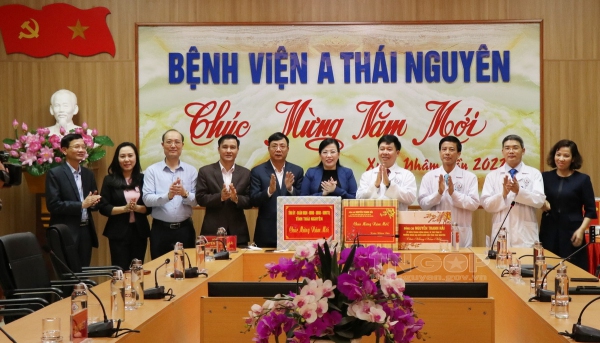 Ban Thường vụ Tỉnh ủy Thái Nguyên chỉ đạo tổ chức Tết Quý Mão năm 2023