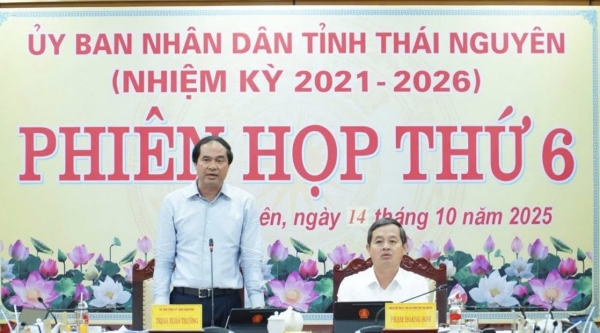 Phiên họp thứ 6 UBND tỉnh: Bàn giải pháp trọng tâm phát triển kinh tế - xã hội 3 tháng cuối năm 2025