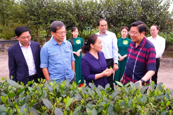 Đoàn công tác của Ban Nội chính Trung ương thăm và làm việc tại Thái Nguyên