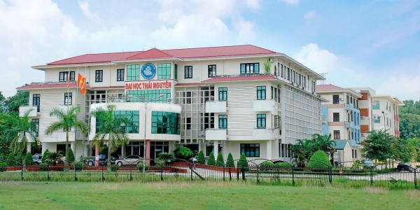 Môi trường làm việc tại Việt Nam có thu hút được người tài hay không?