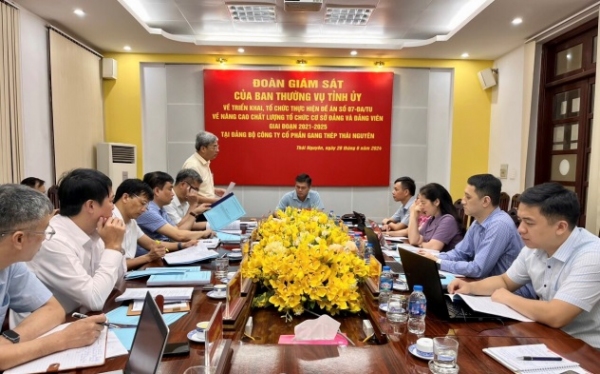 Giám sát việc triển khai thực hiện Đề án số 07-ĐA/TU tại các đảng bộ trực thuộc Tỉnh uỷ