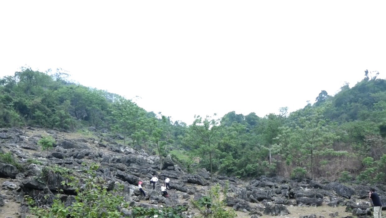 image 20230414073724 3