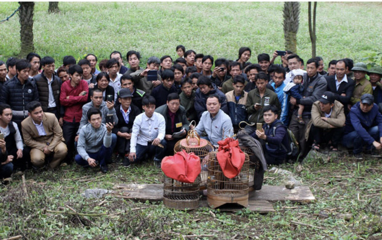 image 20230414073725 9
