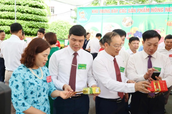 image 20230623171229 3