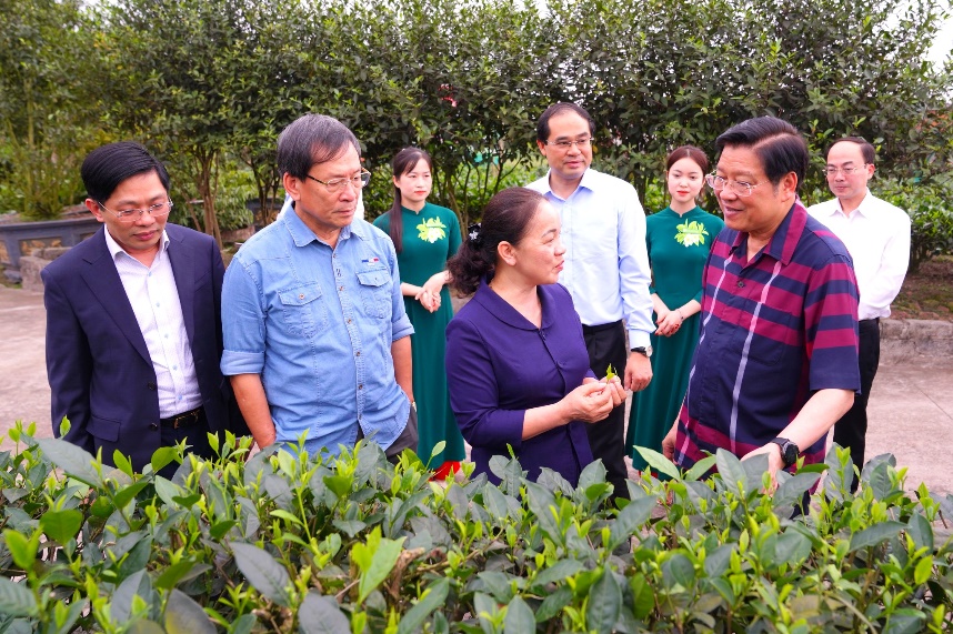 Đoàn công tác của Ban Nội chính Trung ương thăm và làm việc tại Thái Nguyên