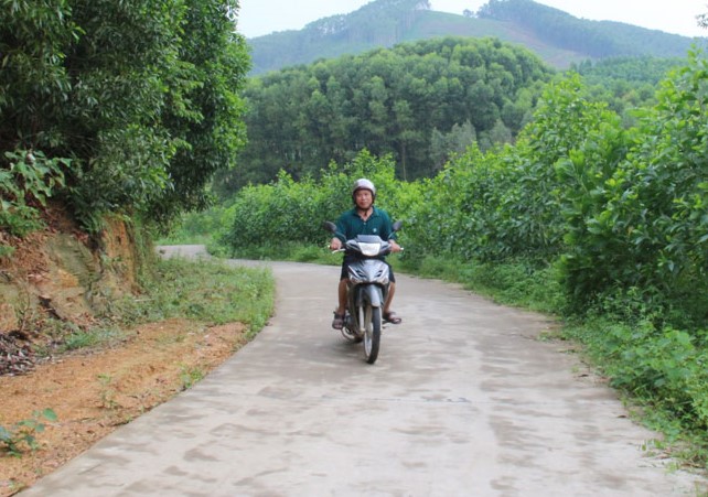image 20240701213314 3